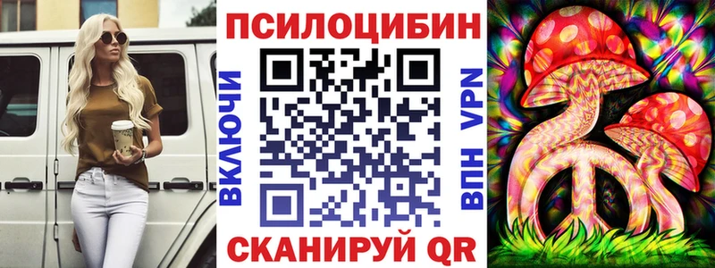 купить наркотик  Конаково  Псилоцибиновые грибы Psilocybine cubensis 